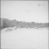 Palmira, mura